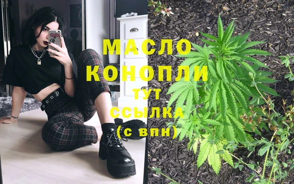 твердый Няндома