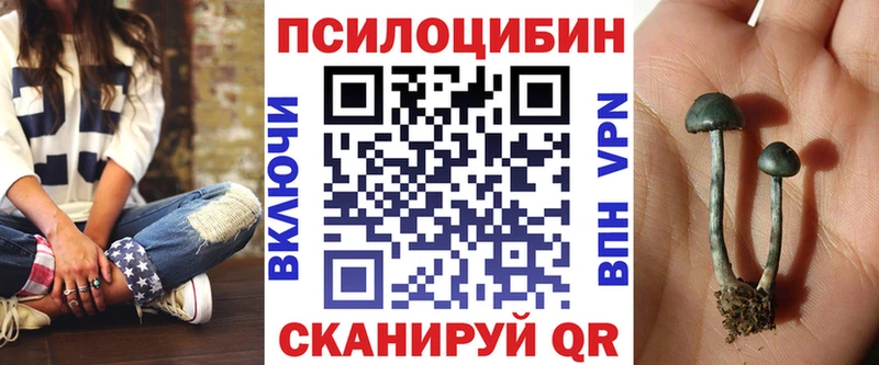 Галлюциногенные грибы мухоморы  Камышлов 